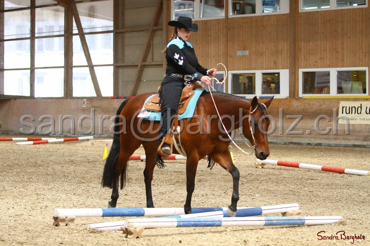 28-ApHC OT_343.jpg